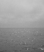 imagem de mar em preto e branco